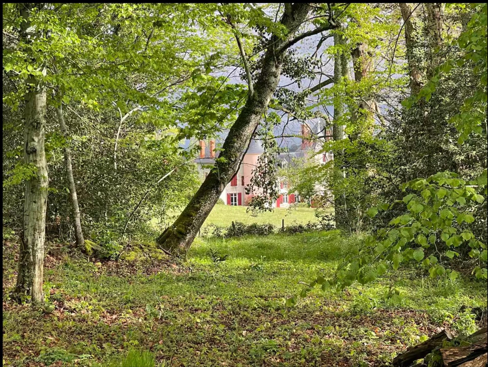 Chateau De La Combe La Celle  Dış mekan fotoğraf